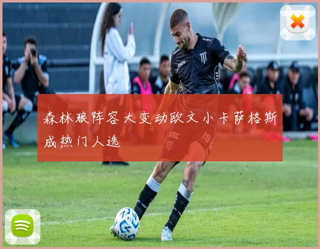 森林狼阵容大变动欧文小卡萨格斯成热门人选